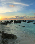 Nauru Tote (by Aaron John)
