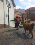 Peru Tote (Limited)