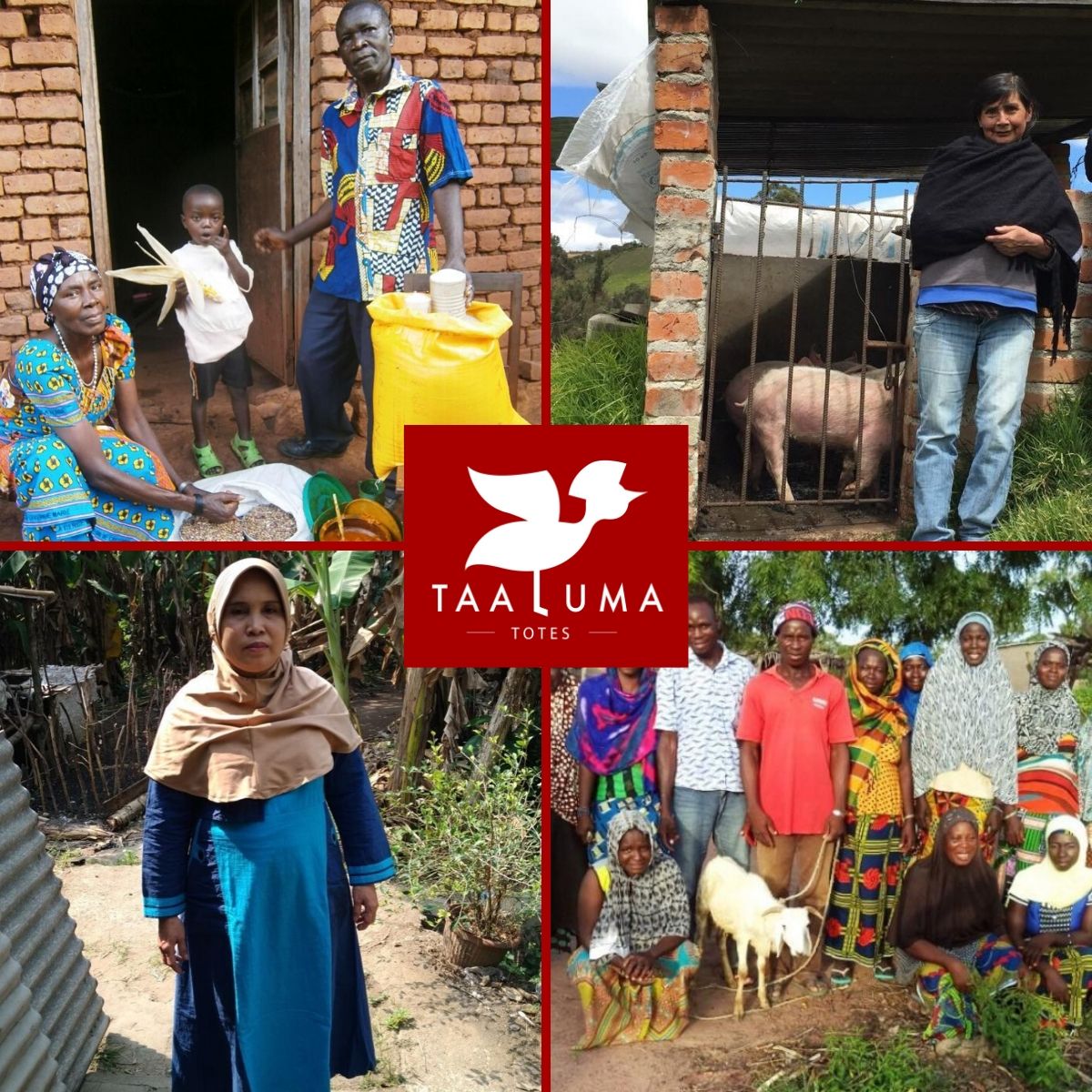 Microloan Donation