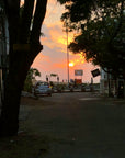 India Tote (by Leonore Lakshmanan)