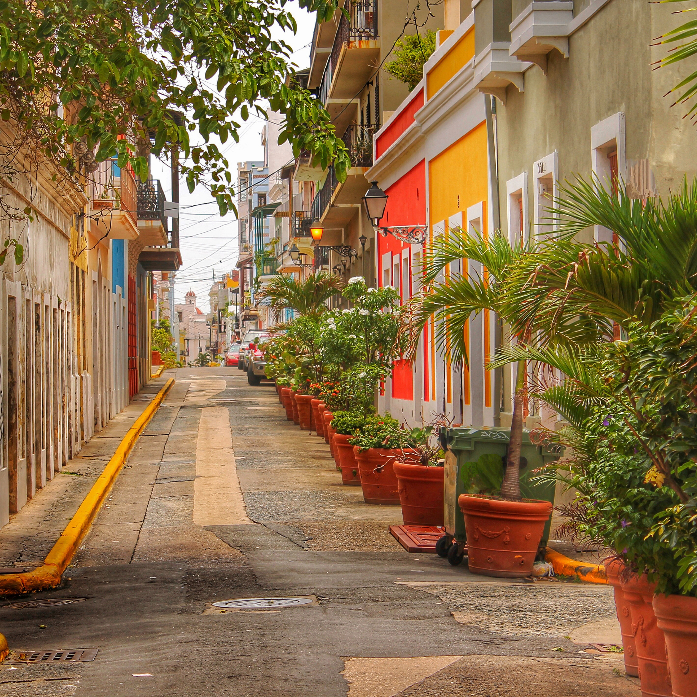 Beaches, Rainforests, and… Neon Water?! 🇵🇷