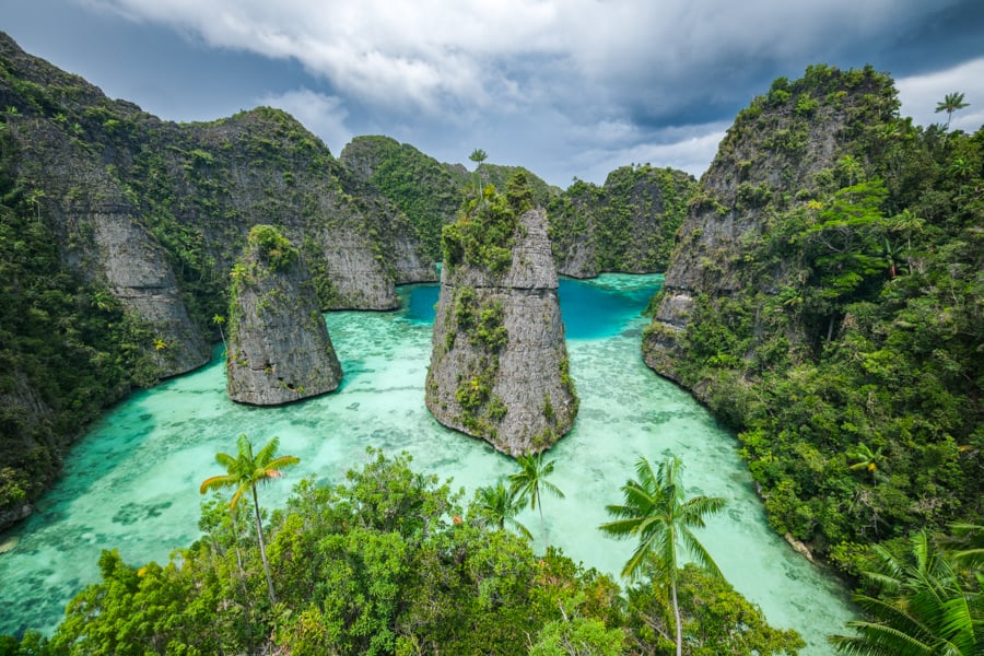 Misool, Raja Ampat in Indonesia 🐠