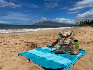 Hawaii Tote (by Colleen Records)