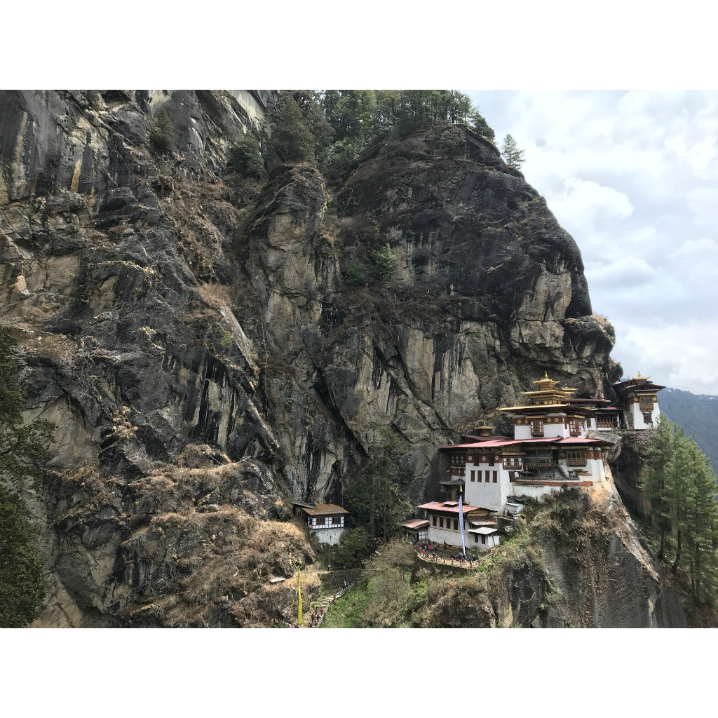 Bhutan Tote (by Lesley M.)