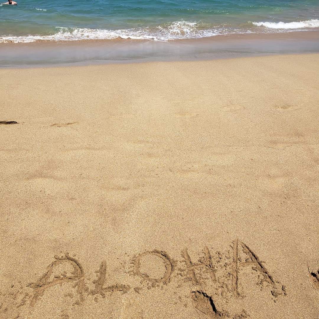 Hawaii Tote (by Karen Lassman-Eul)
