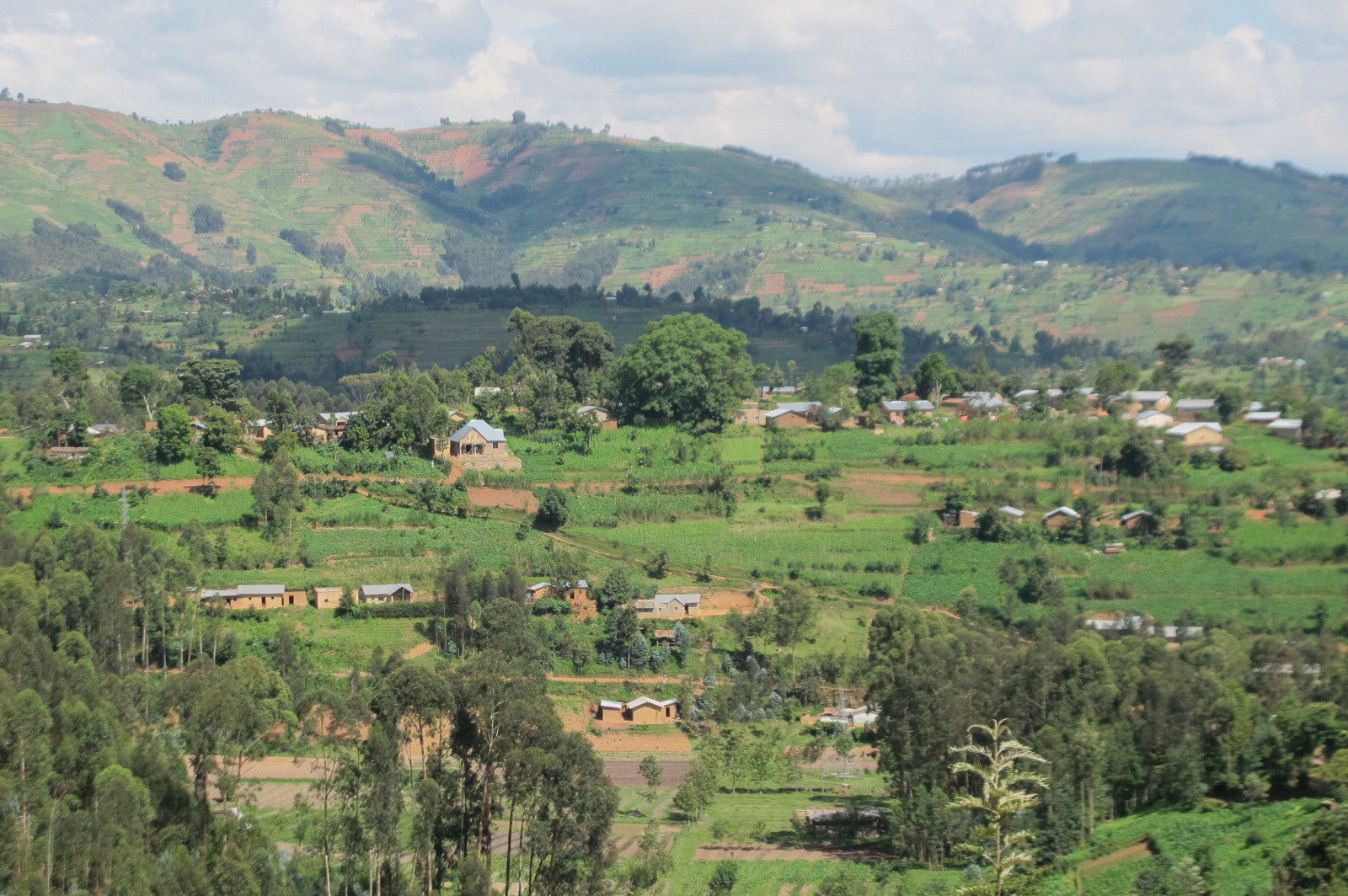 Rwanda Tote (by Isabelle S.)