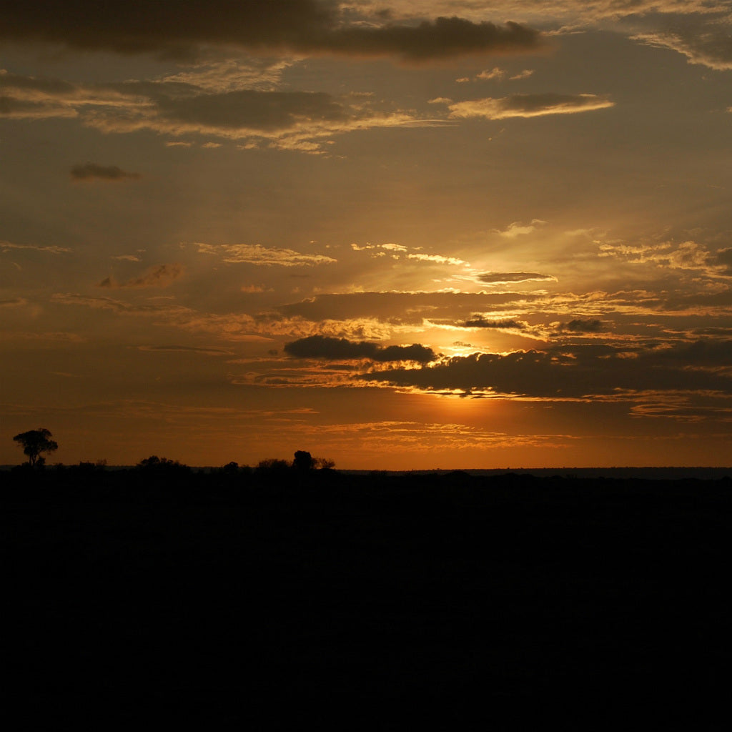 Kenya Tote (by Hartlee Johnston)