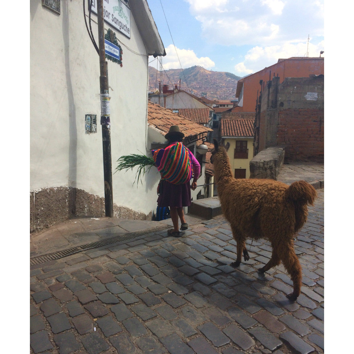 Peru Tote (Limited)