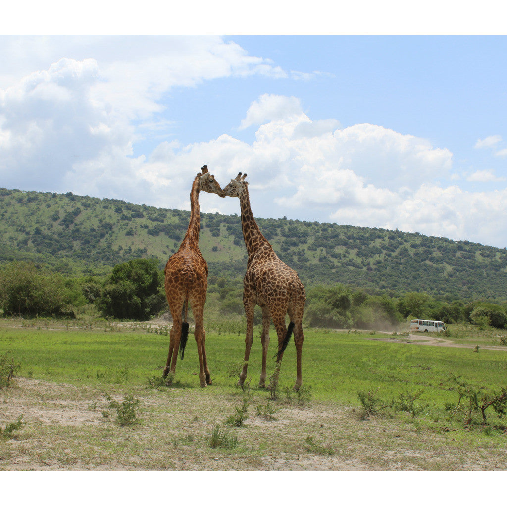 Rwanda Tote (by Kelsey Friedman)