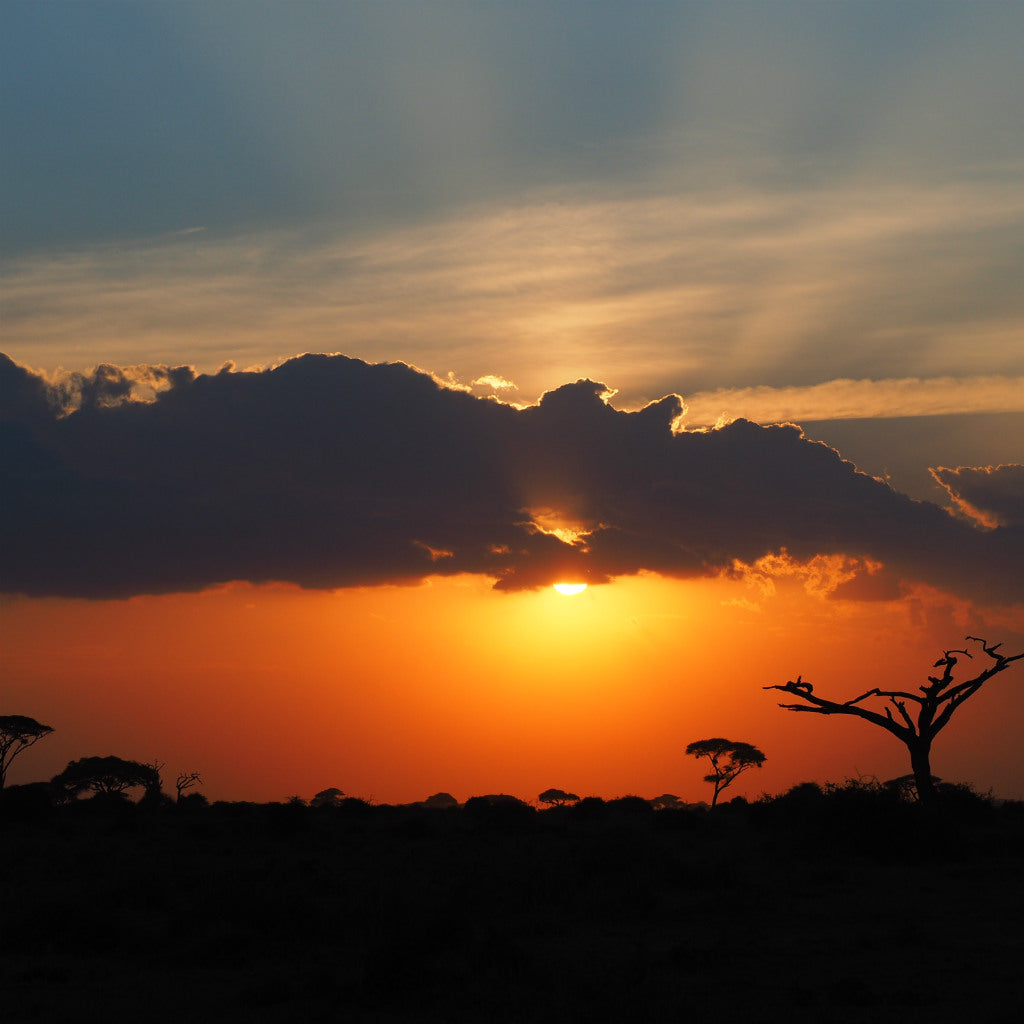 Tanzania Tote (by Priscilla Thilmony)
