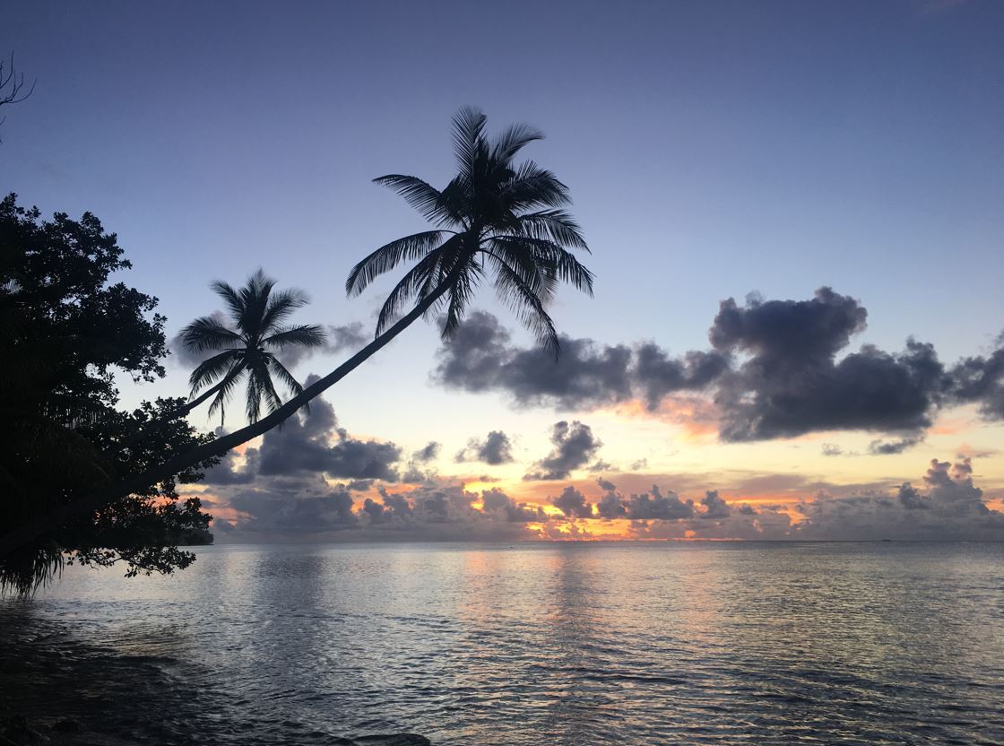 Tuvalu Tote (by Aaron John)